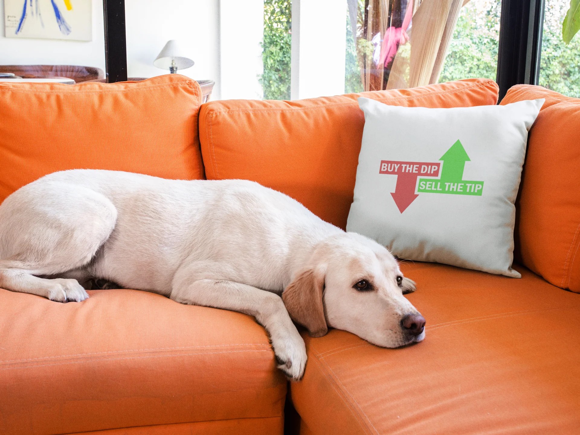 Bear Printed Cushion - Image 3