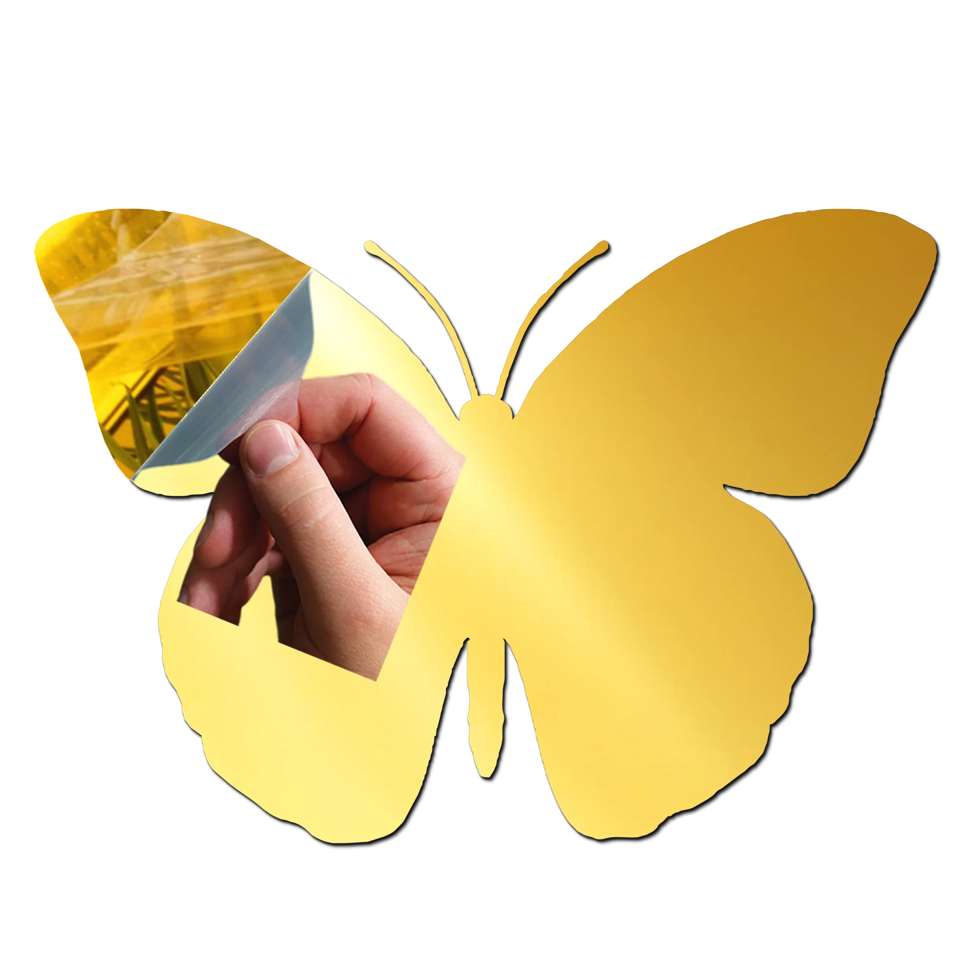 Butterfly 3 Golden Acrylic Cutout for Resin Art / Art and Craft