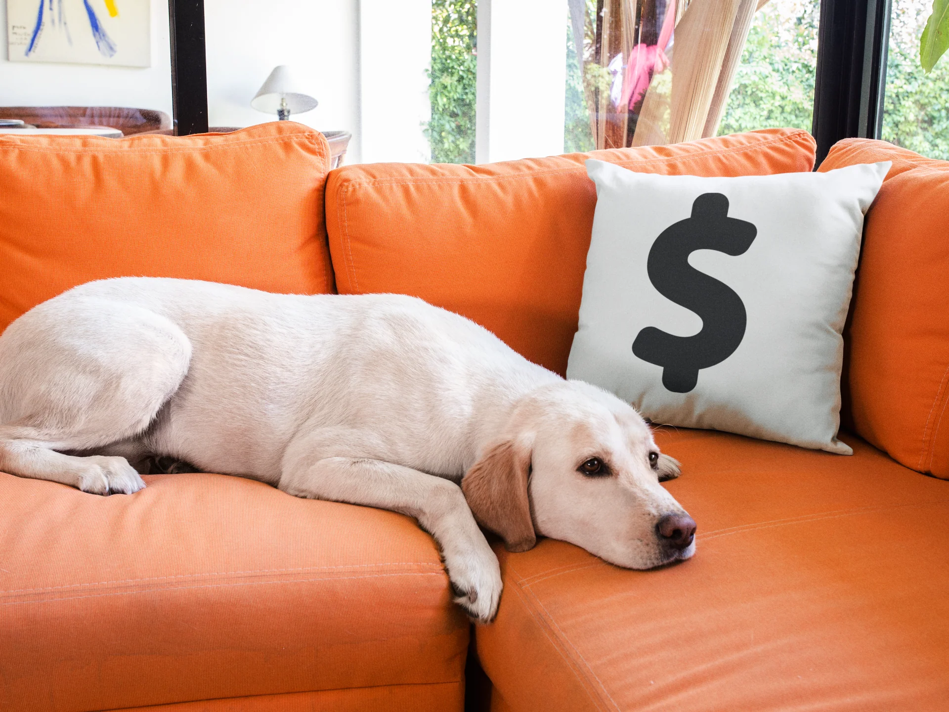 Dollar Printed Cushion - Image 3