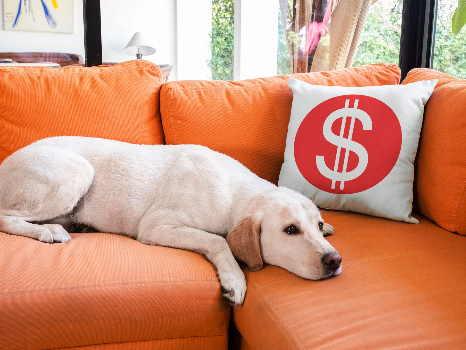 Dollar Printed Cushion - Image 3