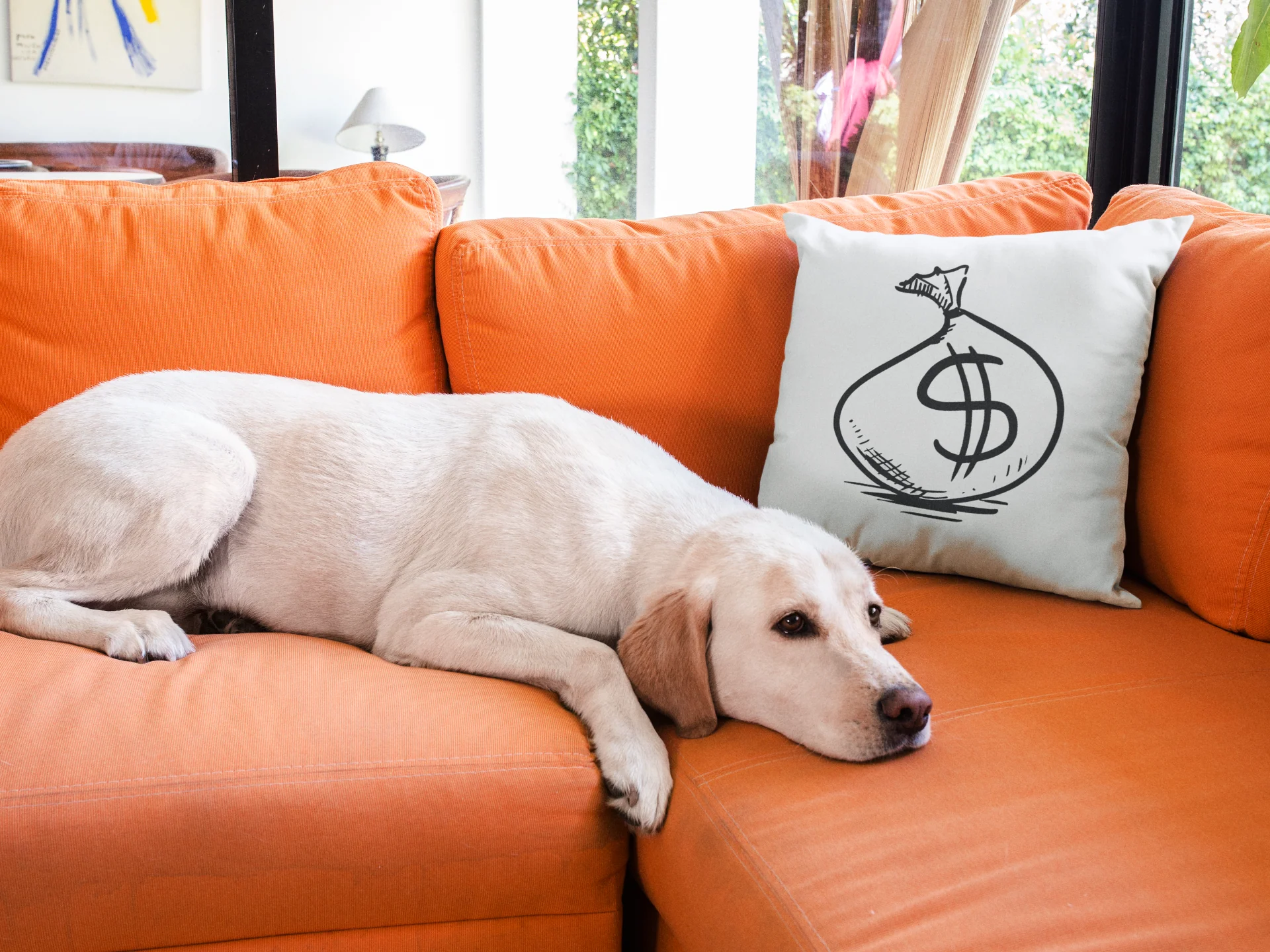 Dollar Printed Cushion - Image 3