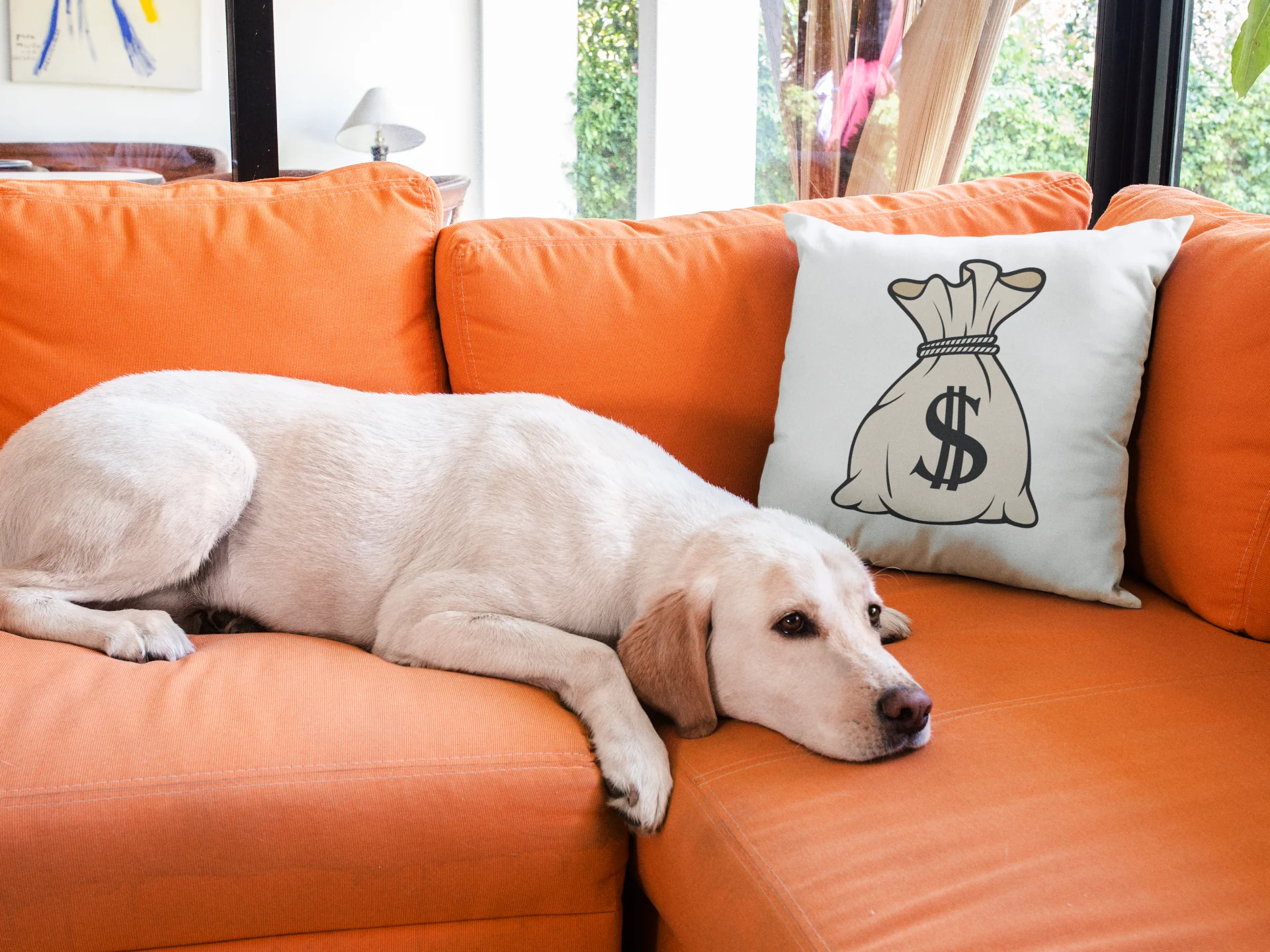 Dollar Printed Cushion - Image 3