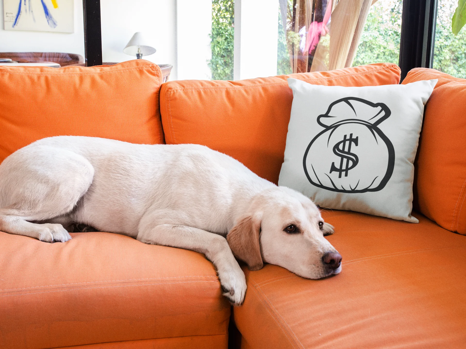 Dollar Printed Cushion - Image 3