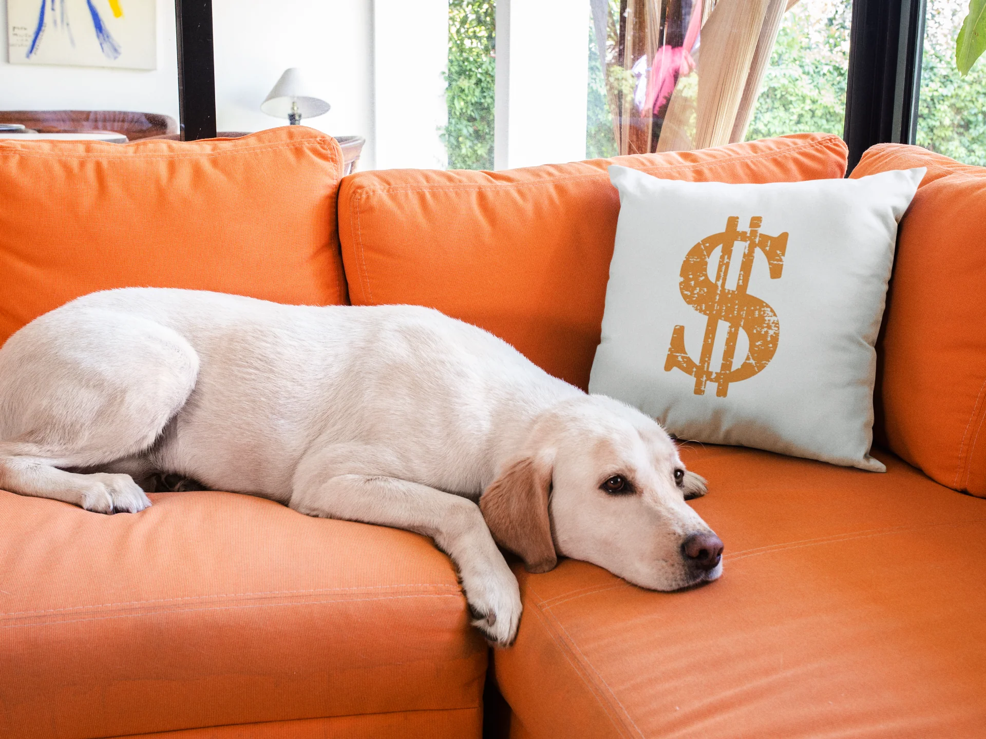 Dollar Printed Cushion - Image 3