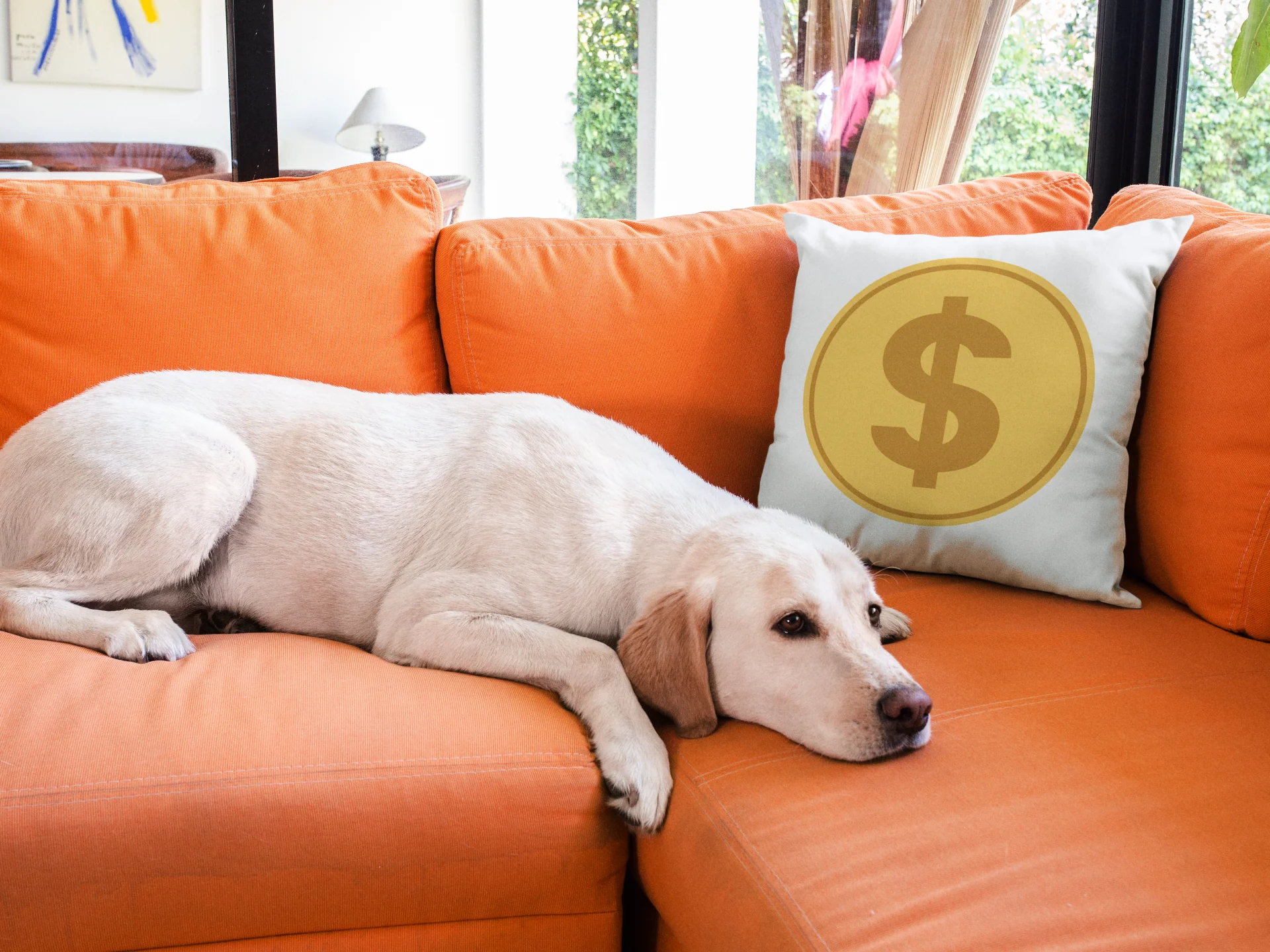 Dollar Printed Cushion - Image 3