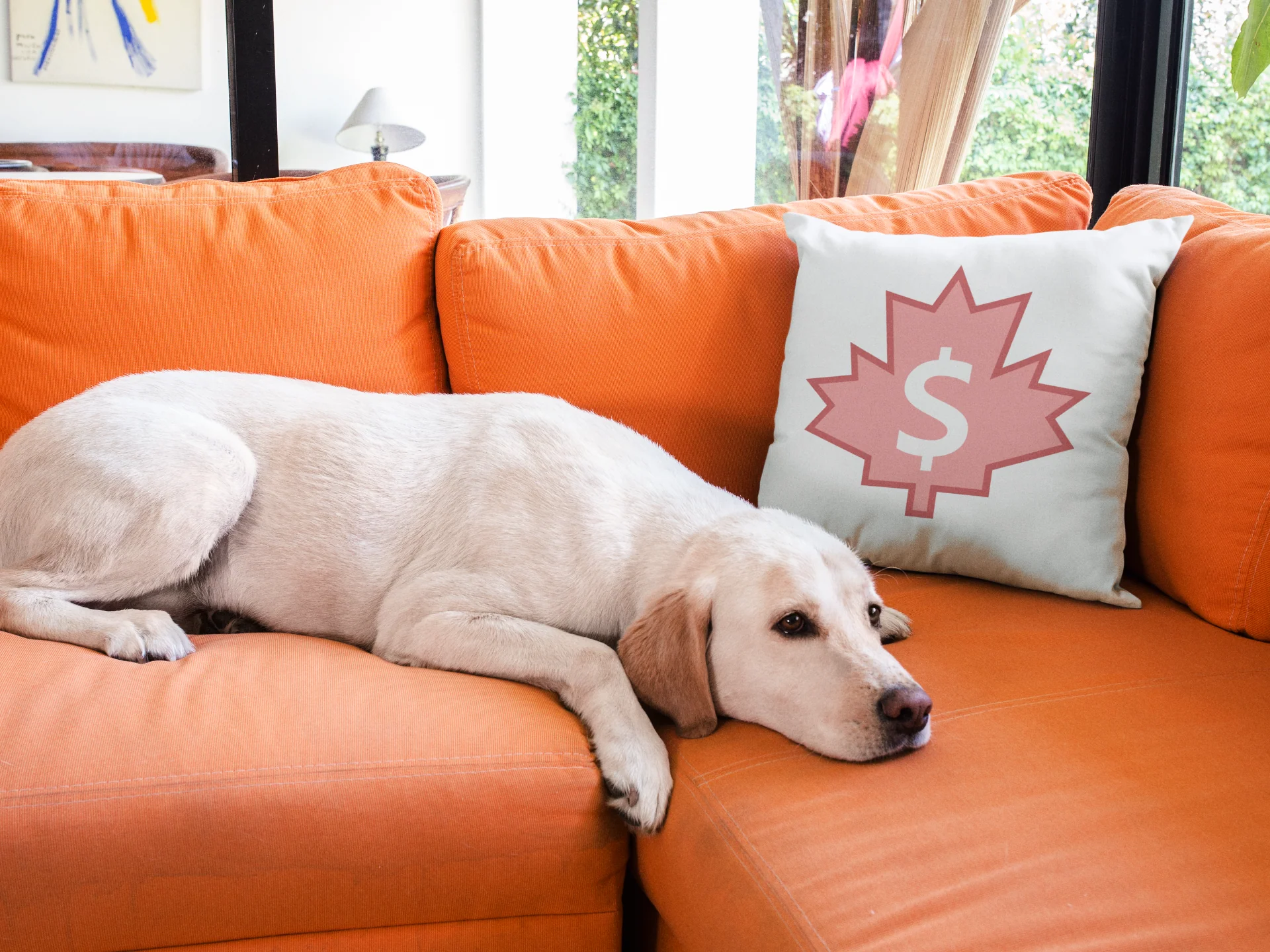 Dollar Printed Cushion - Image 3
