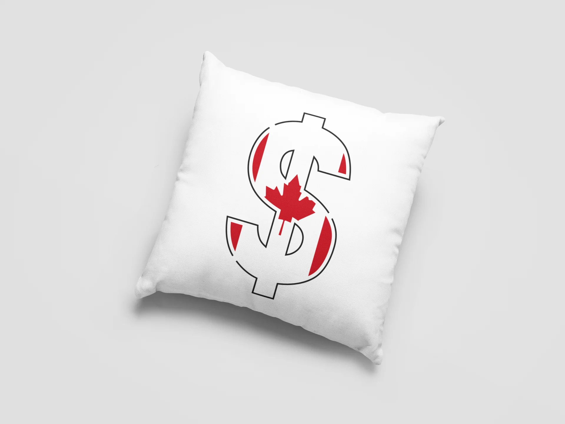 Dollar Printed Cushion