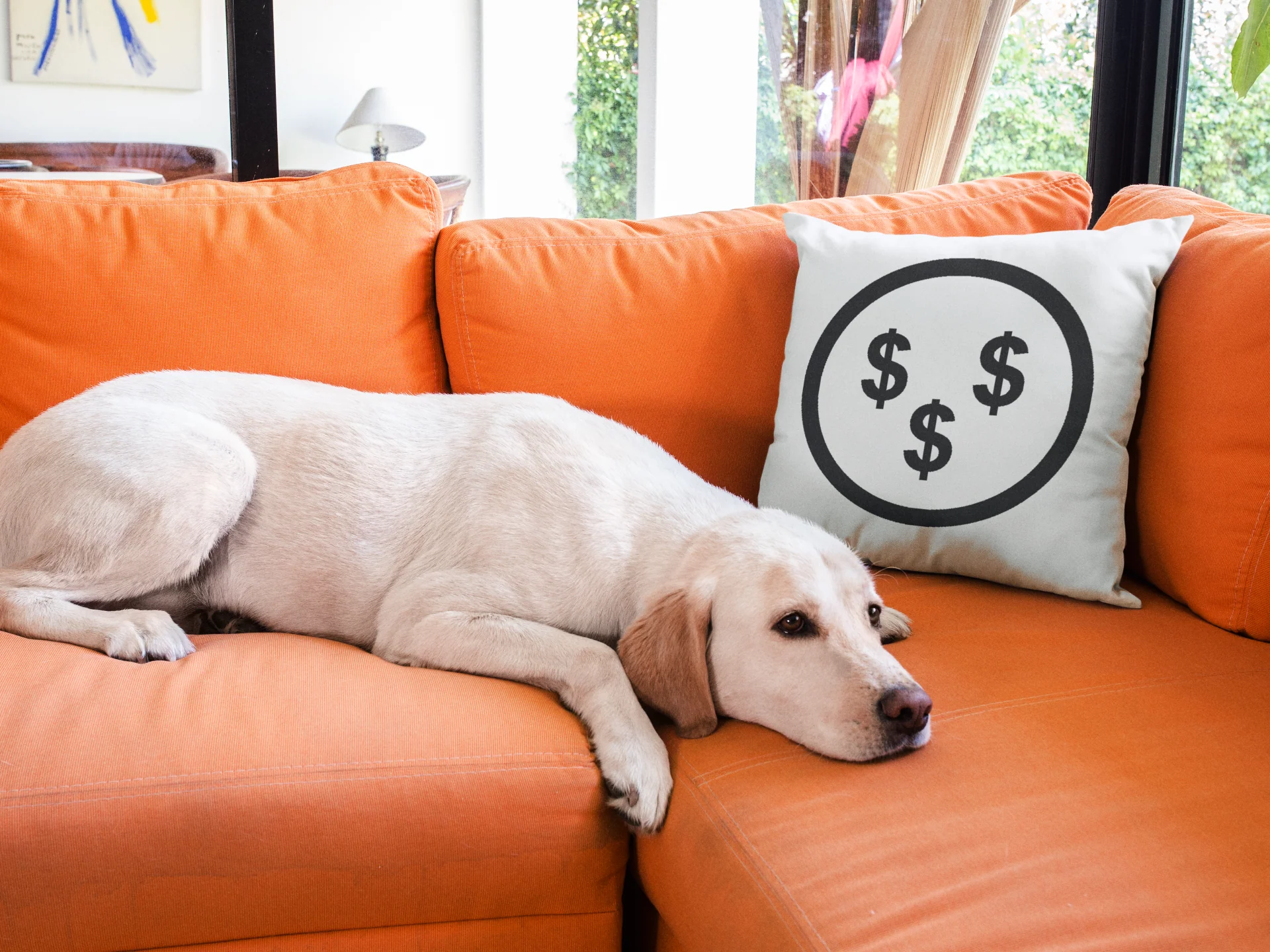 Dollar Printed Cushion - Image 3