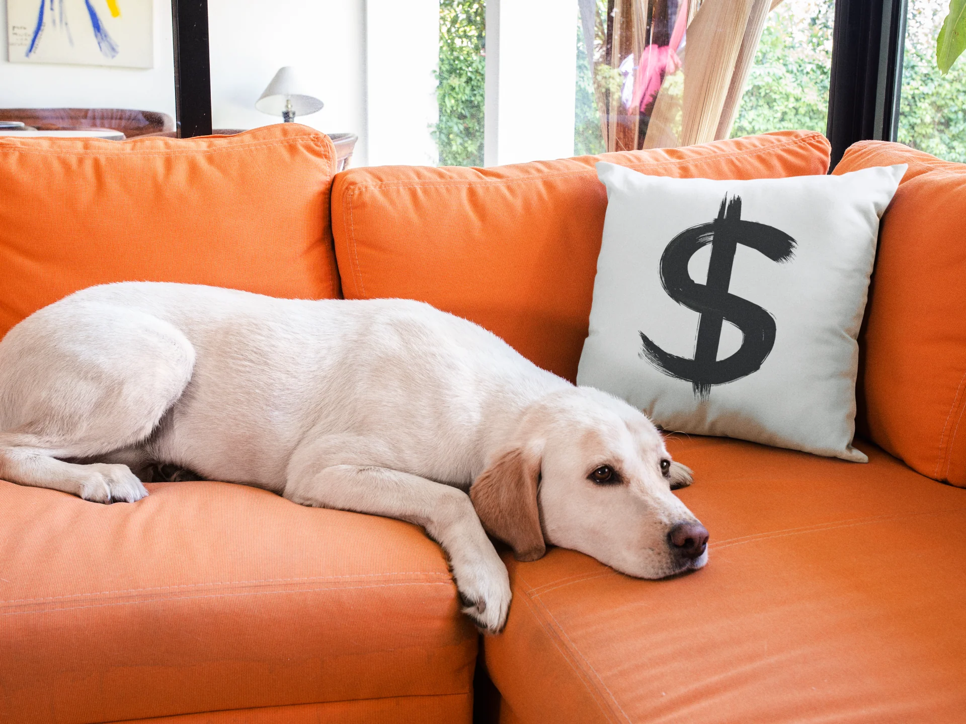 Dollar Printed Cushion - Image 3