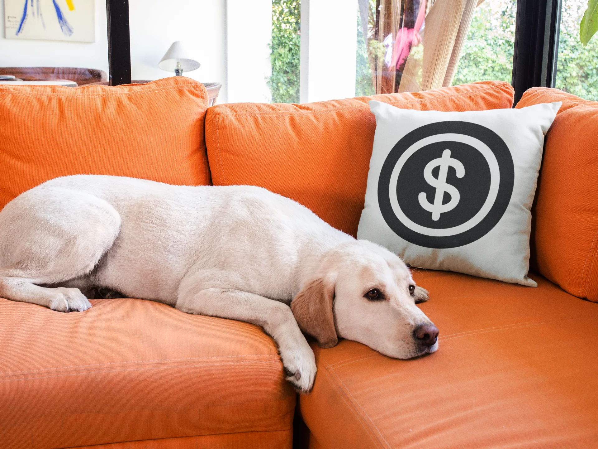 Dollar Printed Cushion - Image 3