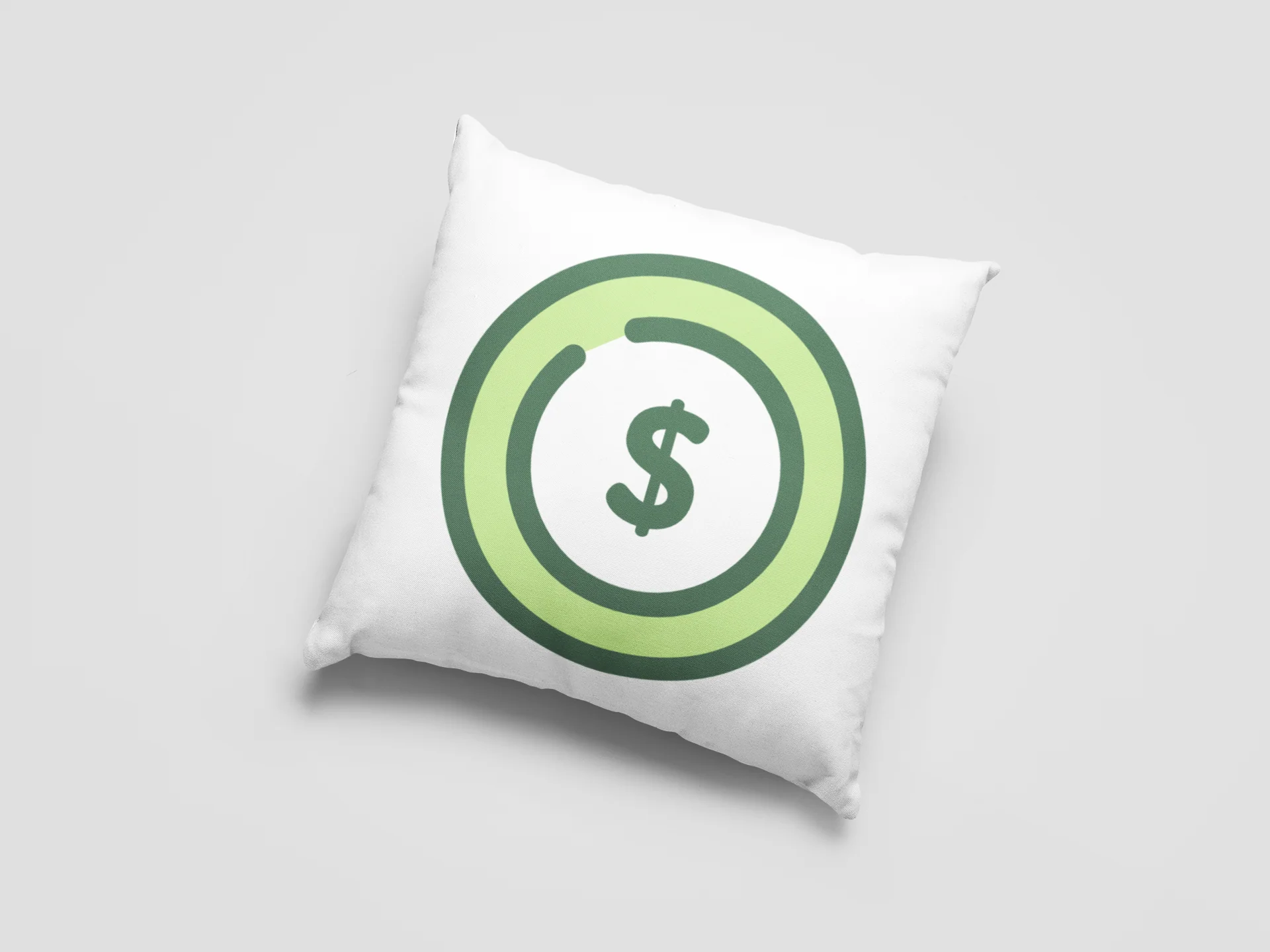 Dollar Printed Cushion