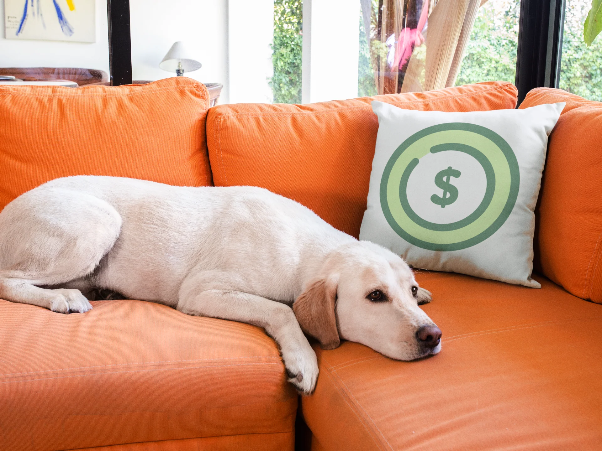 Dollar Printed Cushion - Image 3
