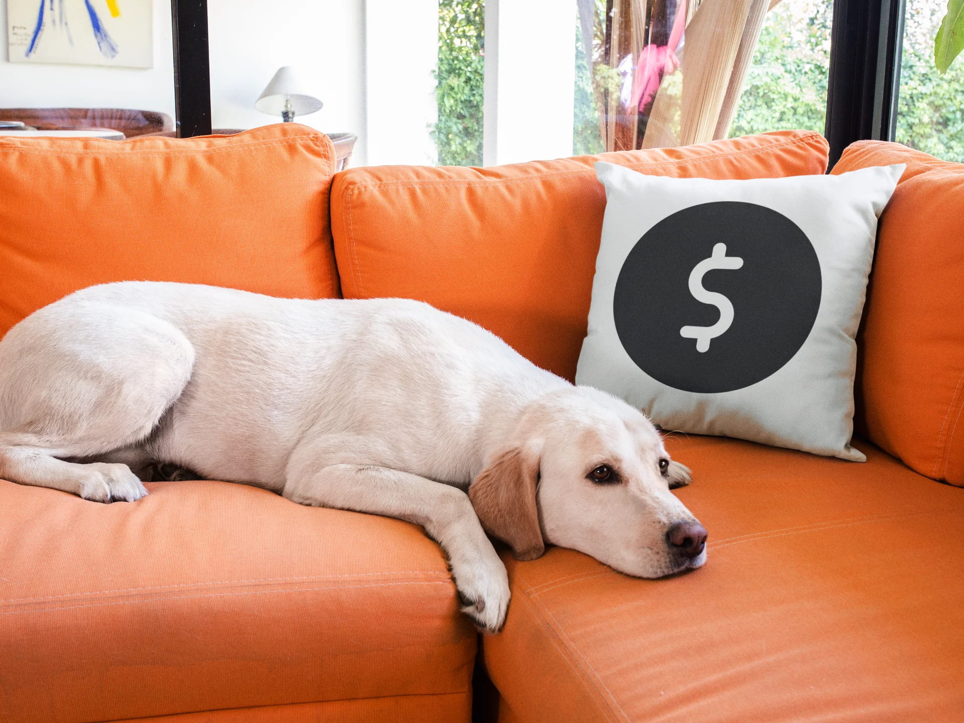 Dollar Printed Cushion - Image 3