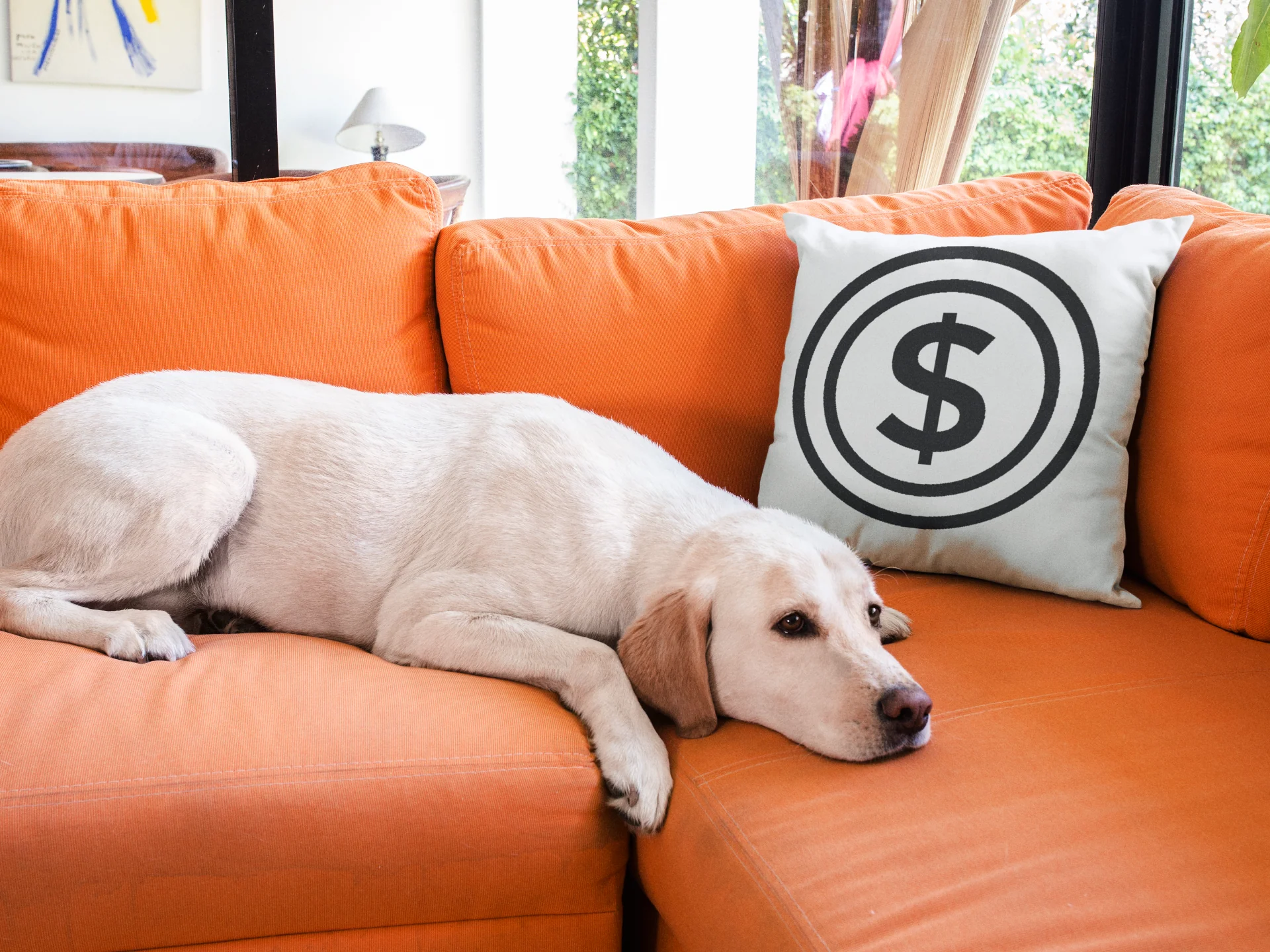 Dollar Printed Cushion - Image 3