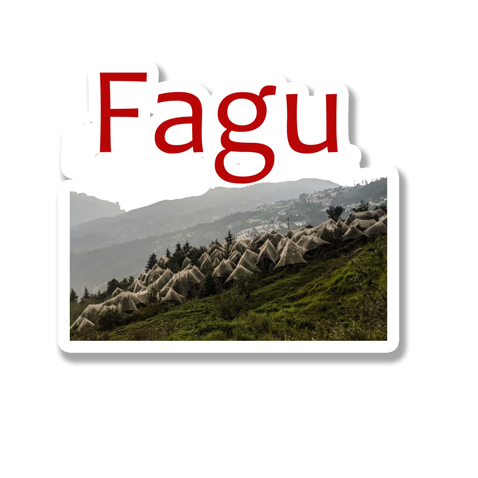 Fagu Souvenir Fridge Magnet