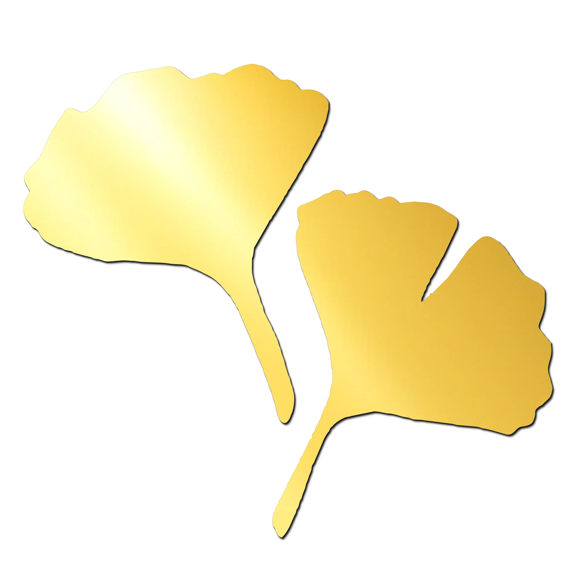 Leaf 2 Acrylic Cutout for Resin Art / Art and Craft