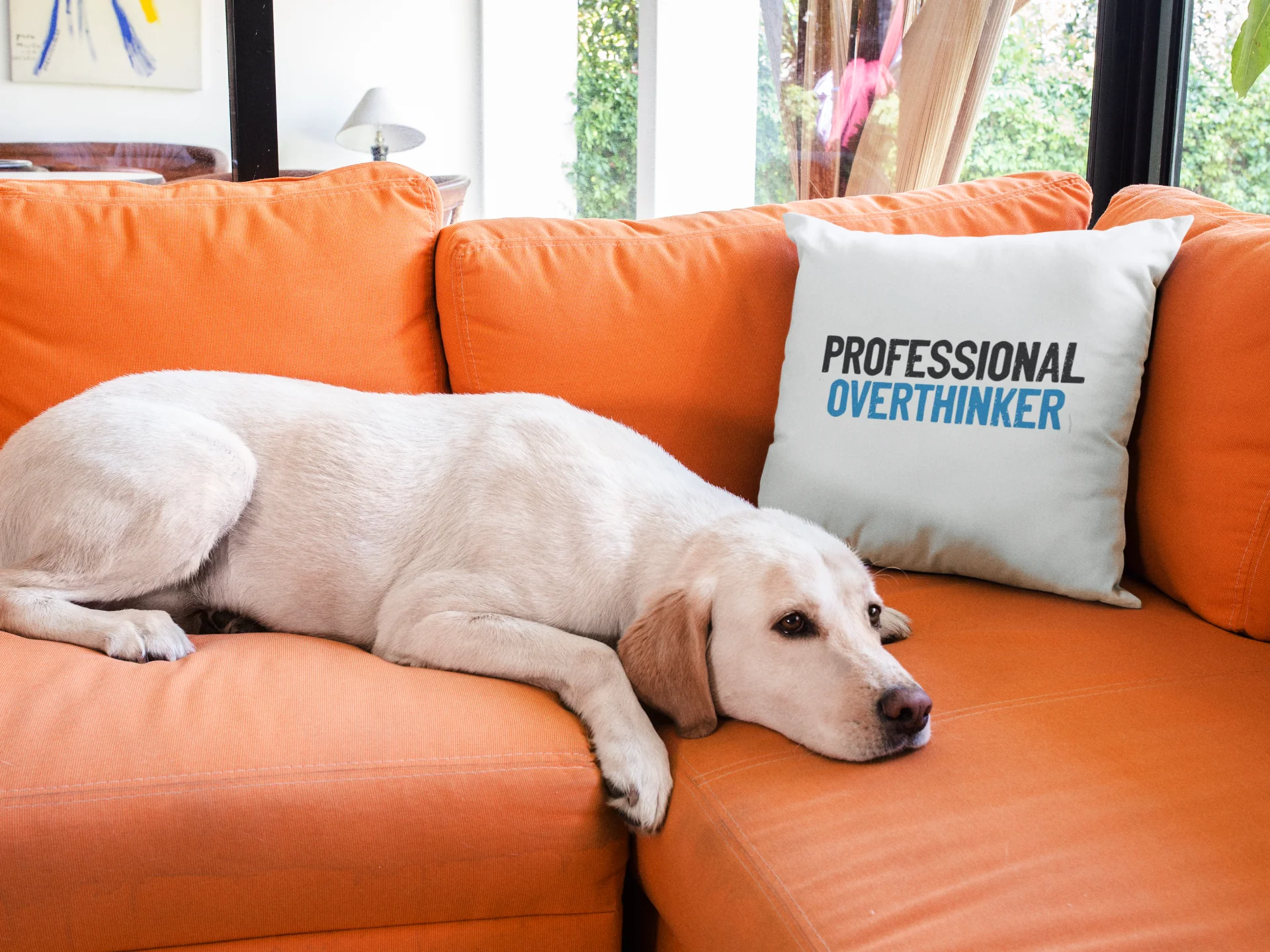 Professional Overthinker Printed Cushion - Image 3
