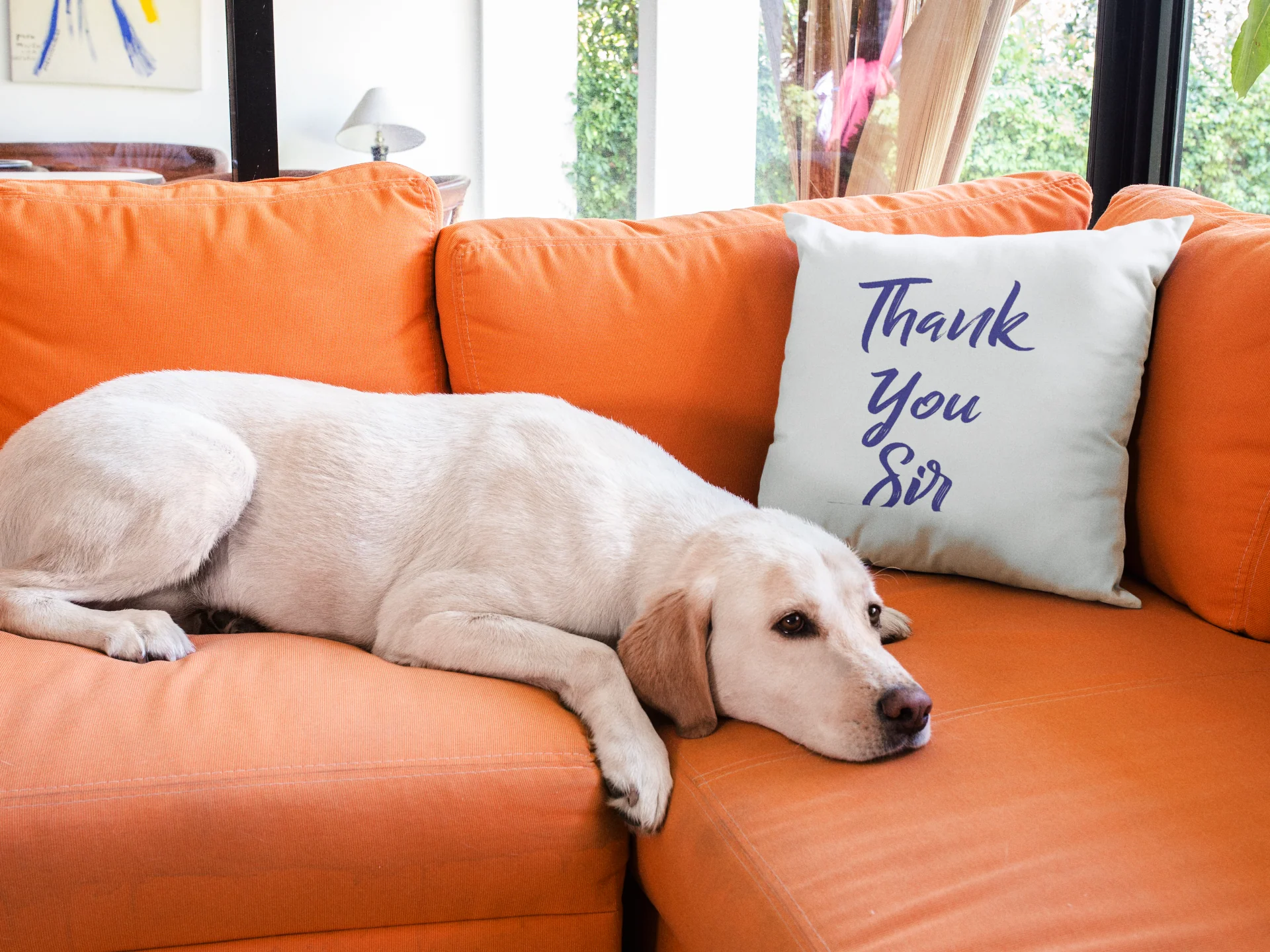 Thank You Sir Printed Cushion - Image 3