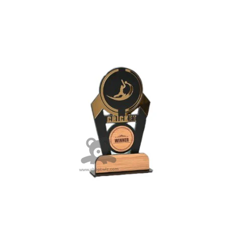 ShopTwiz Cricket Best Trophy with Customized Logo and Text - Image 3