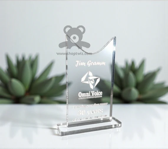 ShopTwiz Customized Acrylic Award Trophy – Personalized Logo & Name Corporate Gift - Image 2