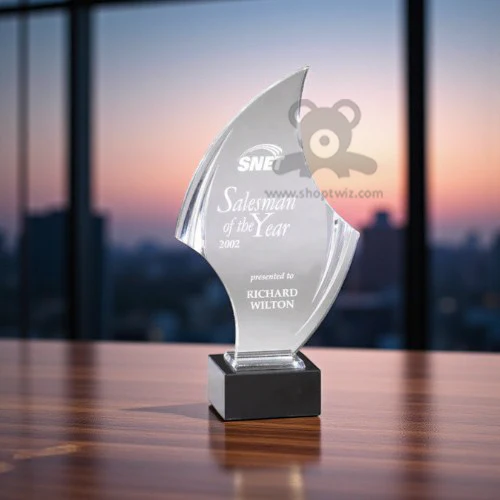 ShopTwiz Customized Award – Personalized Logo & Name Corporate Gift - Image 3