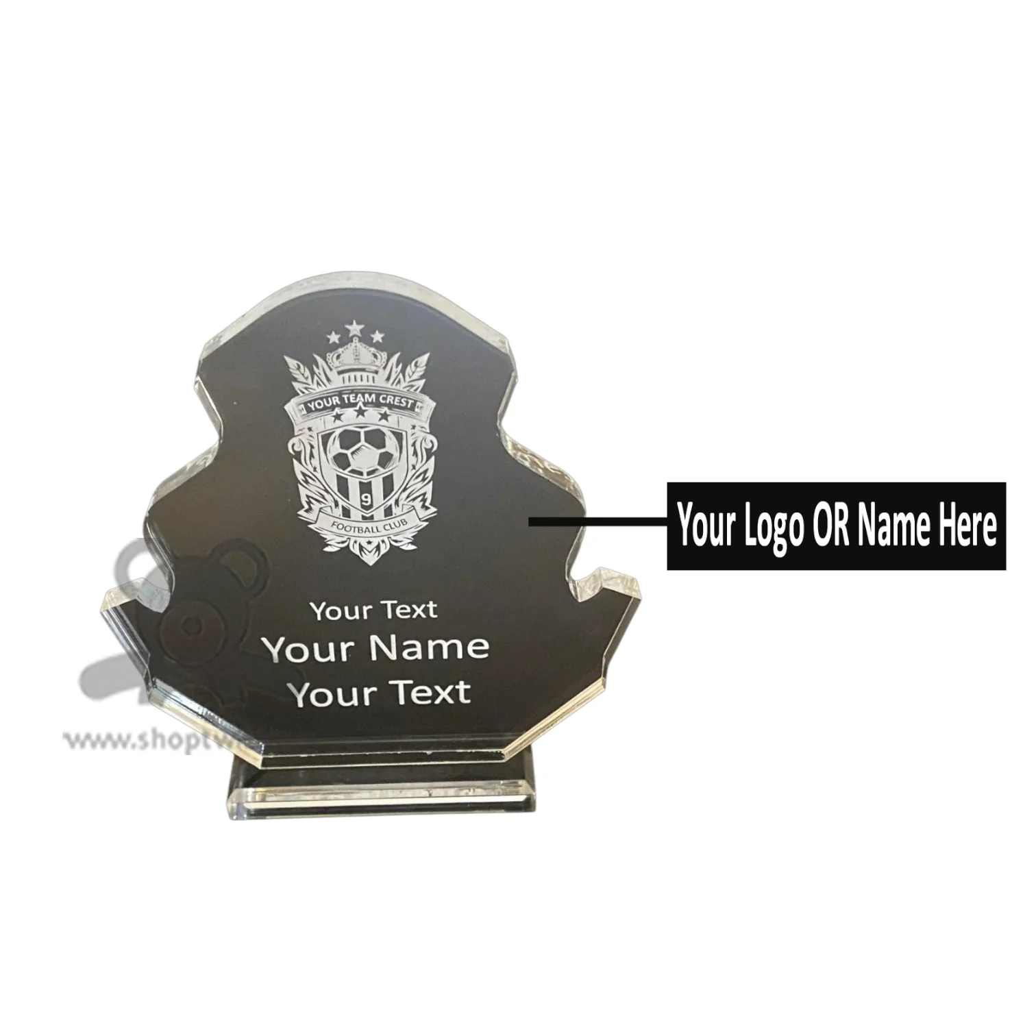 ShopTwiz Customized Award – Personalized Logo & Name Corporate Gift - Image 2
