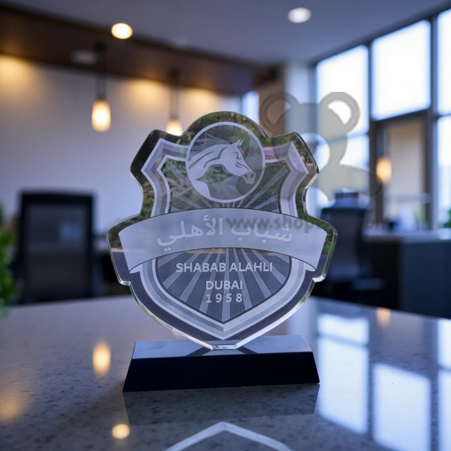 ShopTwiz Customized Best Acrylic Trophy – Personalized Logo & Name Corporate Gift - Image 3