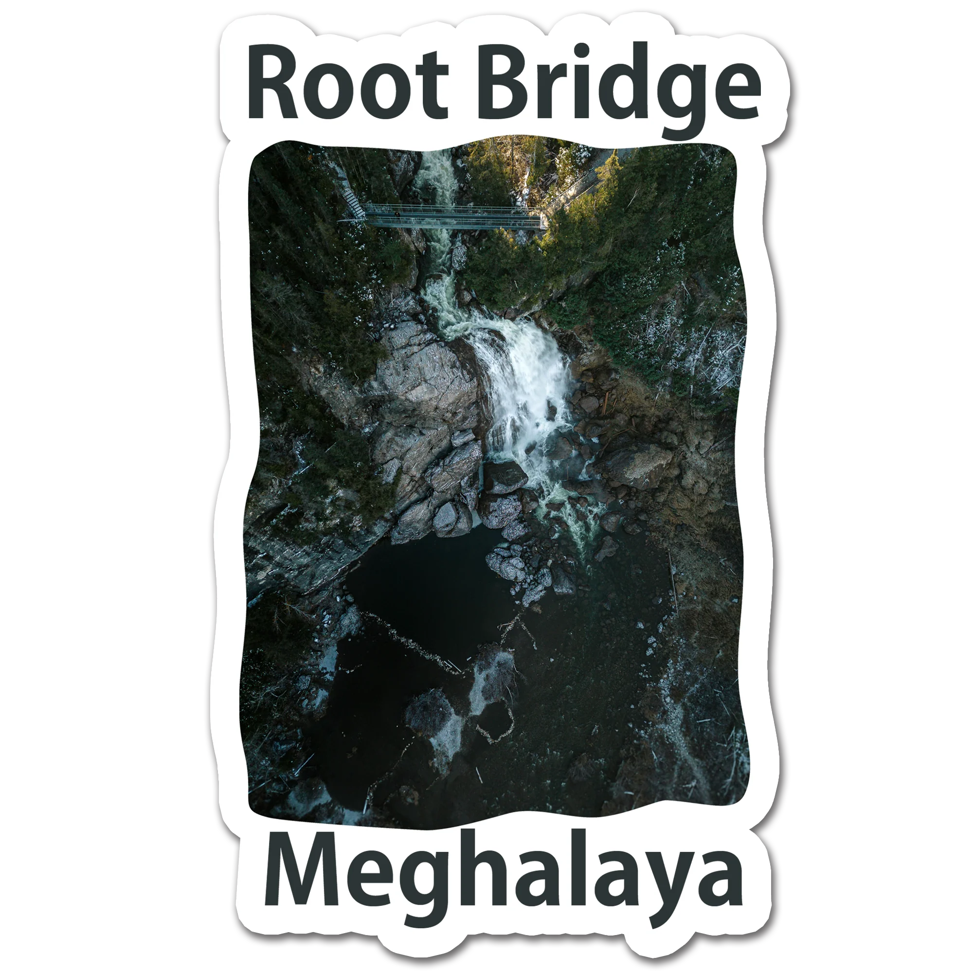 ShopTwiz Root Bridge (Meghalaya) Awesome City Lovely Door Magnets And Fridge Magnet