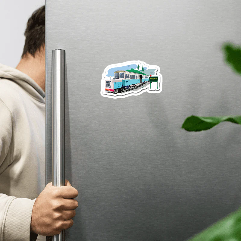 ShopTwiz Shimla Best City Lovely Door Magnets And Fridge Magnet - Image 2