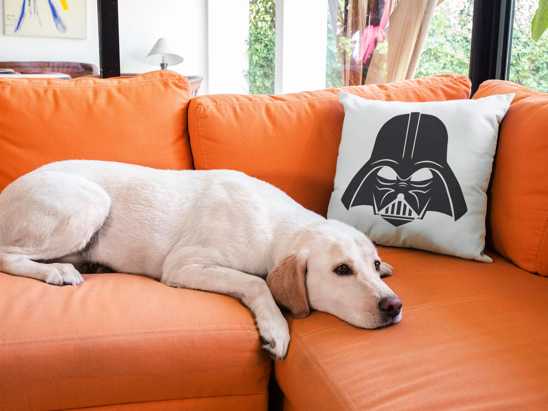Star Wars Printed Cushion - Image 3