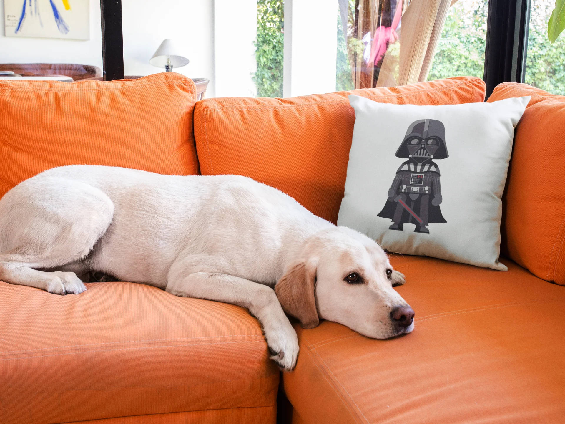 Star Wars Printed Cushion - Image 3