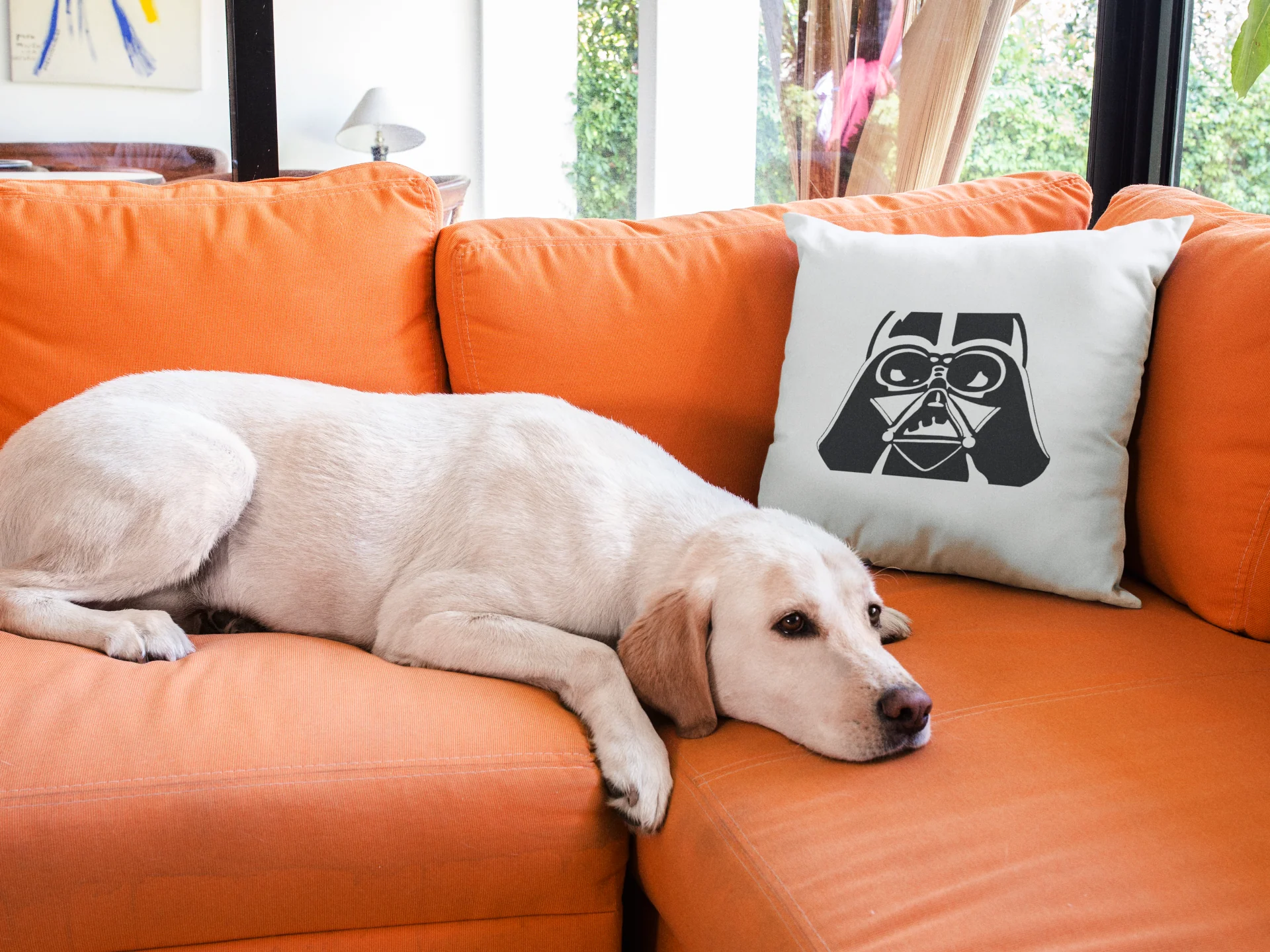 Star Wars Printed Cushion - Image 3
