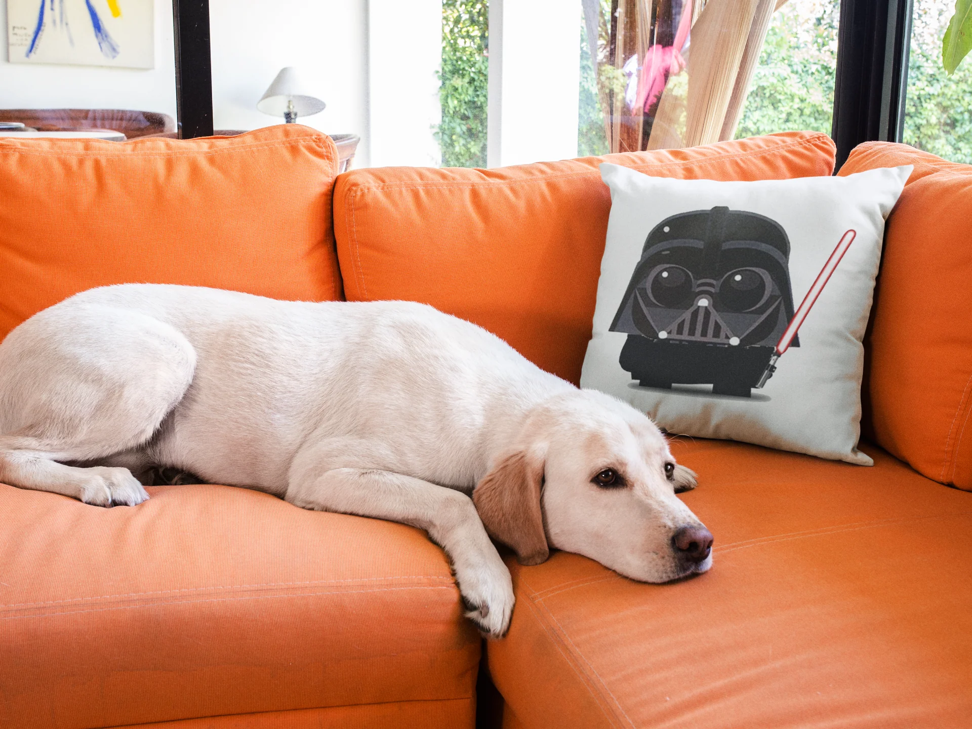 Star Wars Printed Cushion - Image 3