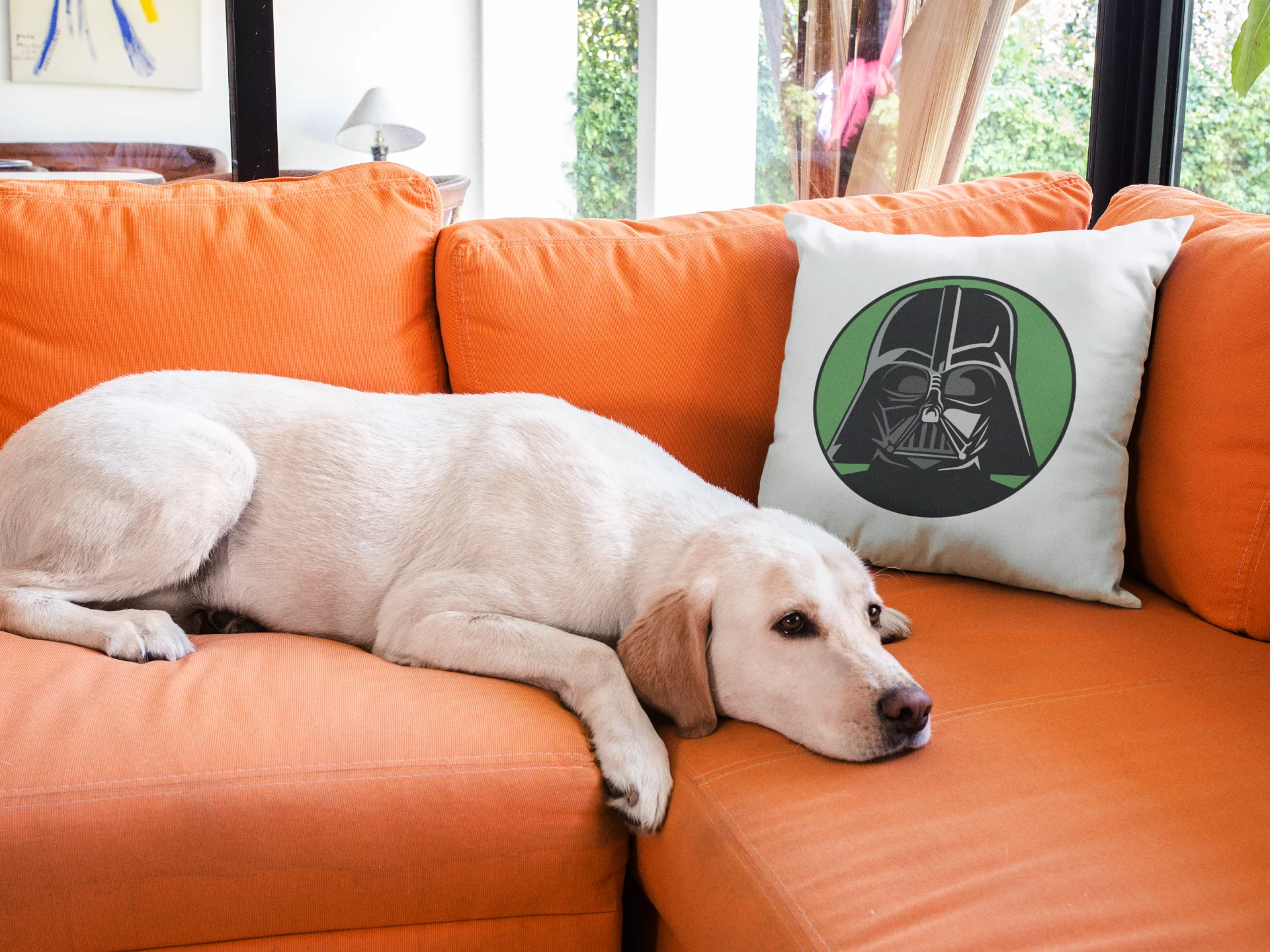 Star Wars Printed Cushion - Image 3