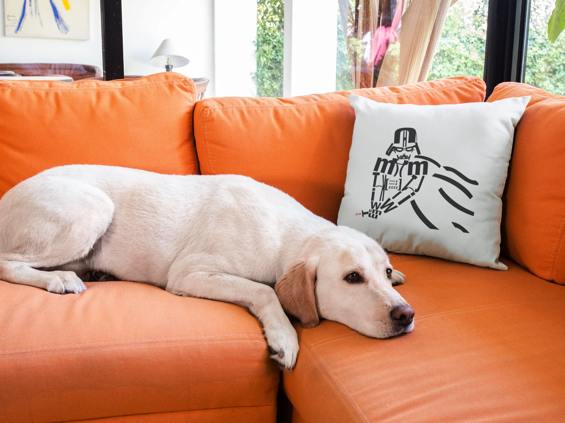 Star Wars Printed Cushion - Image 3