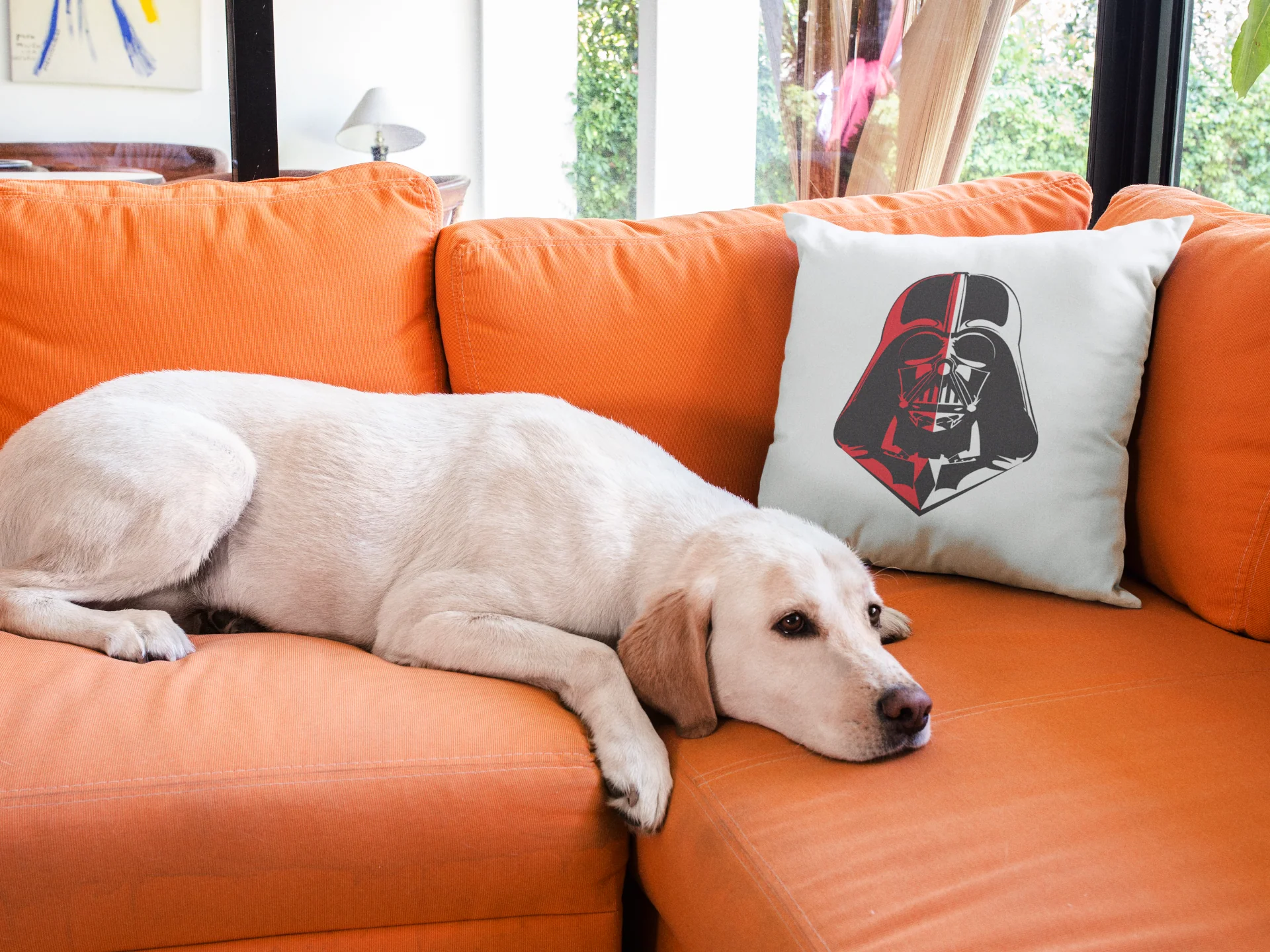 Star Wars Printed Cushion - Image 3