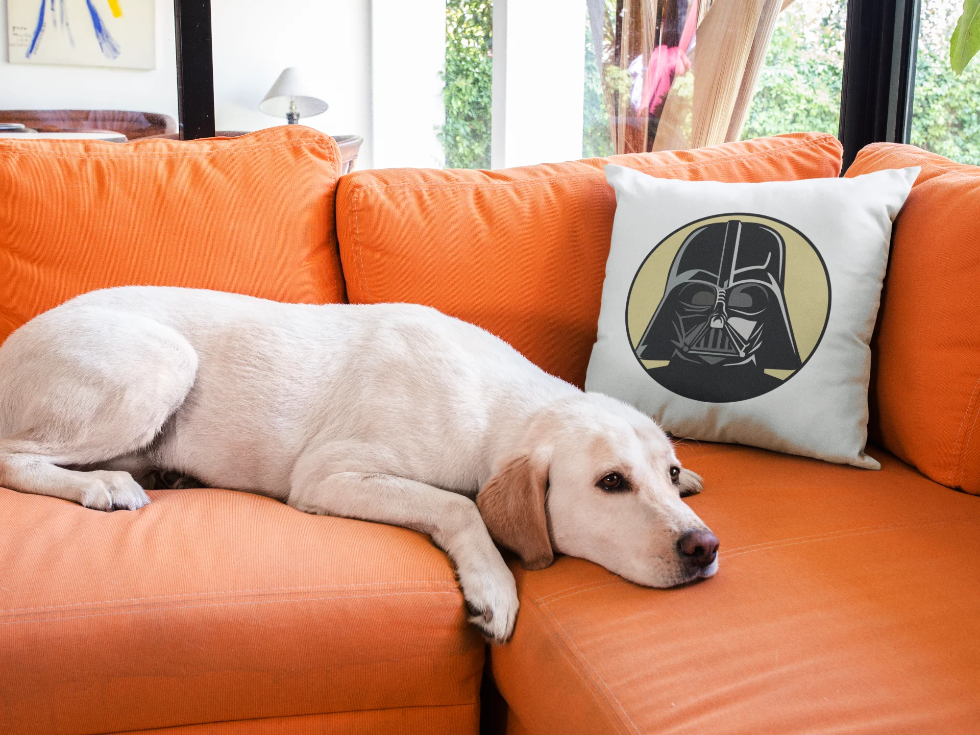 Star Wars Printed Cushion - Image 3