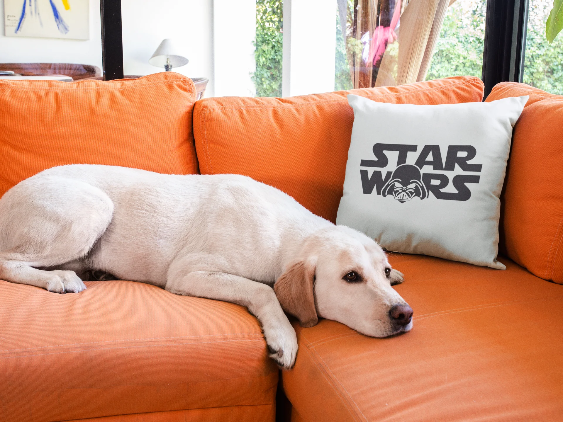 Star Wars Printed Cushion - Image 3