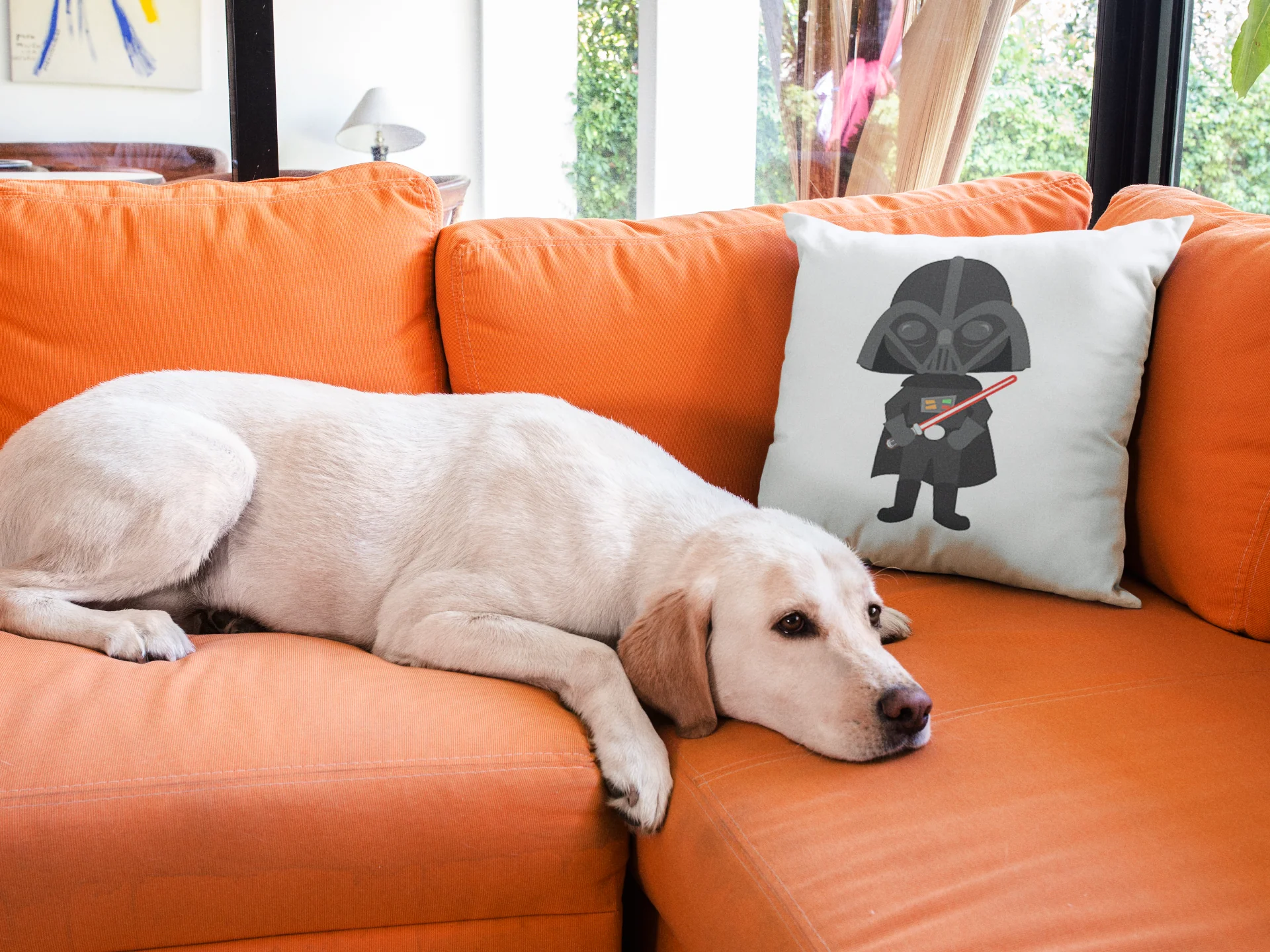Star Wars Printed Cushion - Image 3