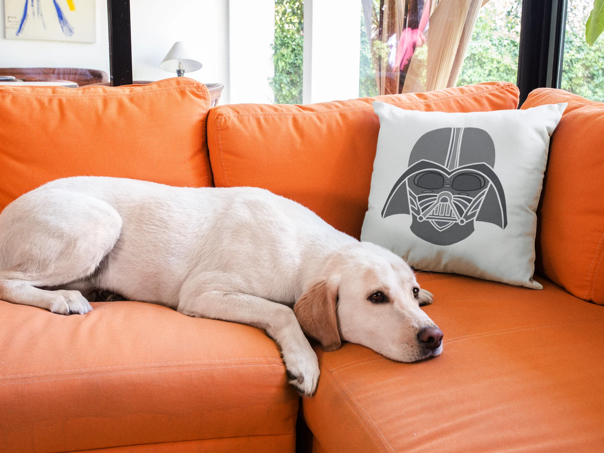 Star Wars Printed Cushion - Image 3