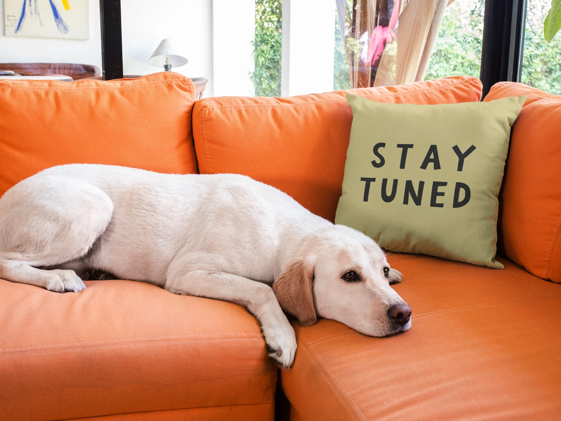 Stay Tuned Printed Cushion - Image 12