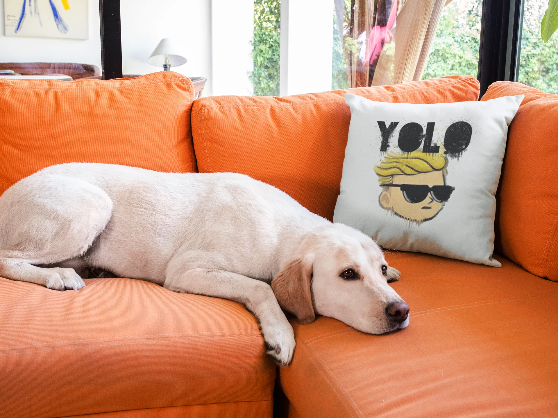 Yolo Printed Cushion - Image 3