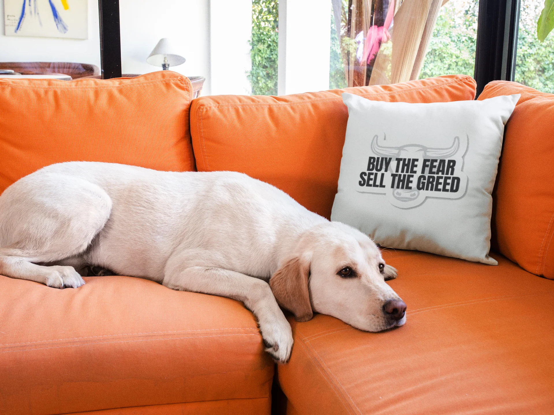 Stormtrooper Printed Cushion - Image 3