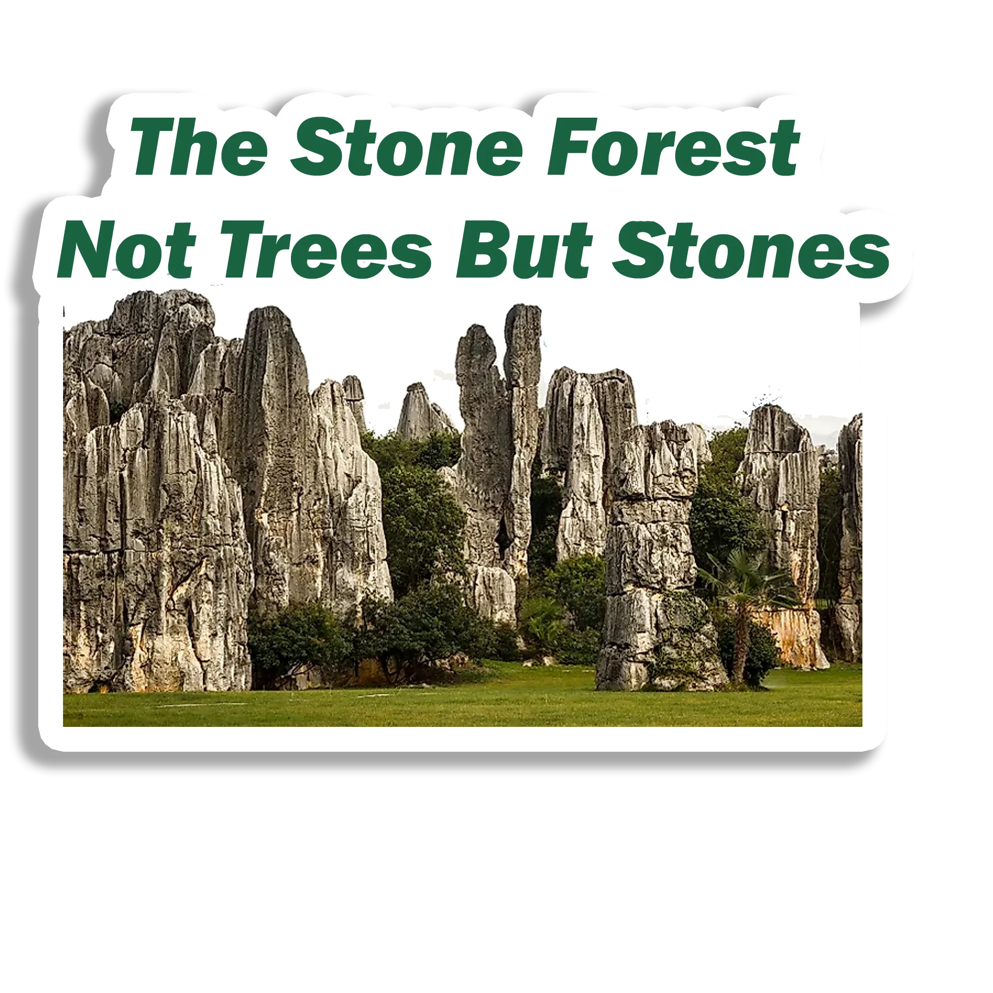 The Stone Forest Scenic Souvenir Fridge Magnet